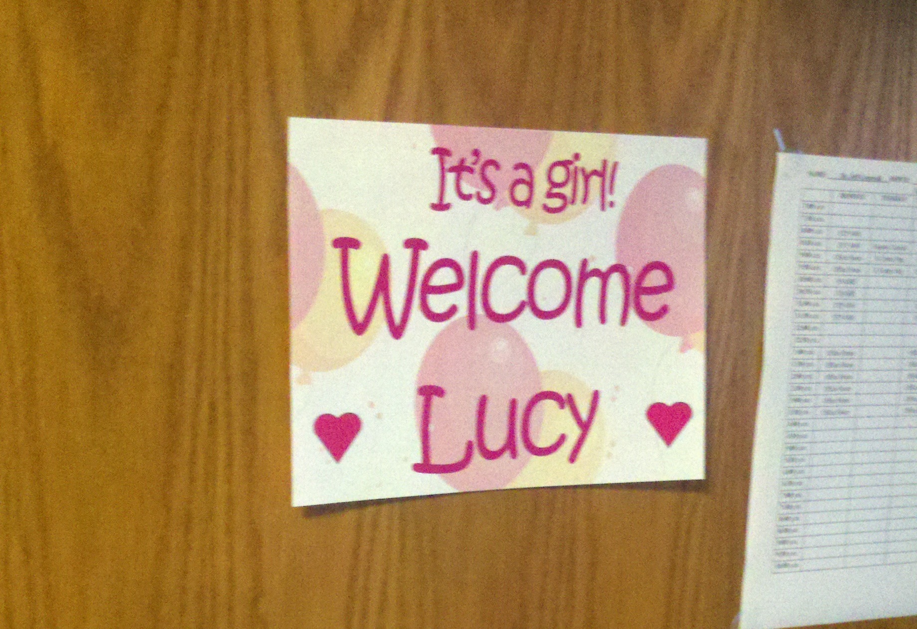 welcome lucy.jpg
